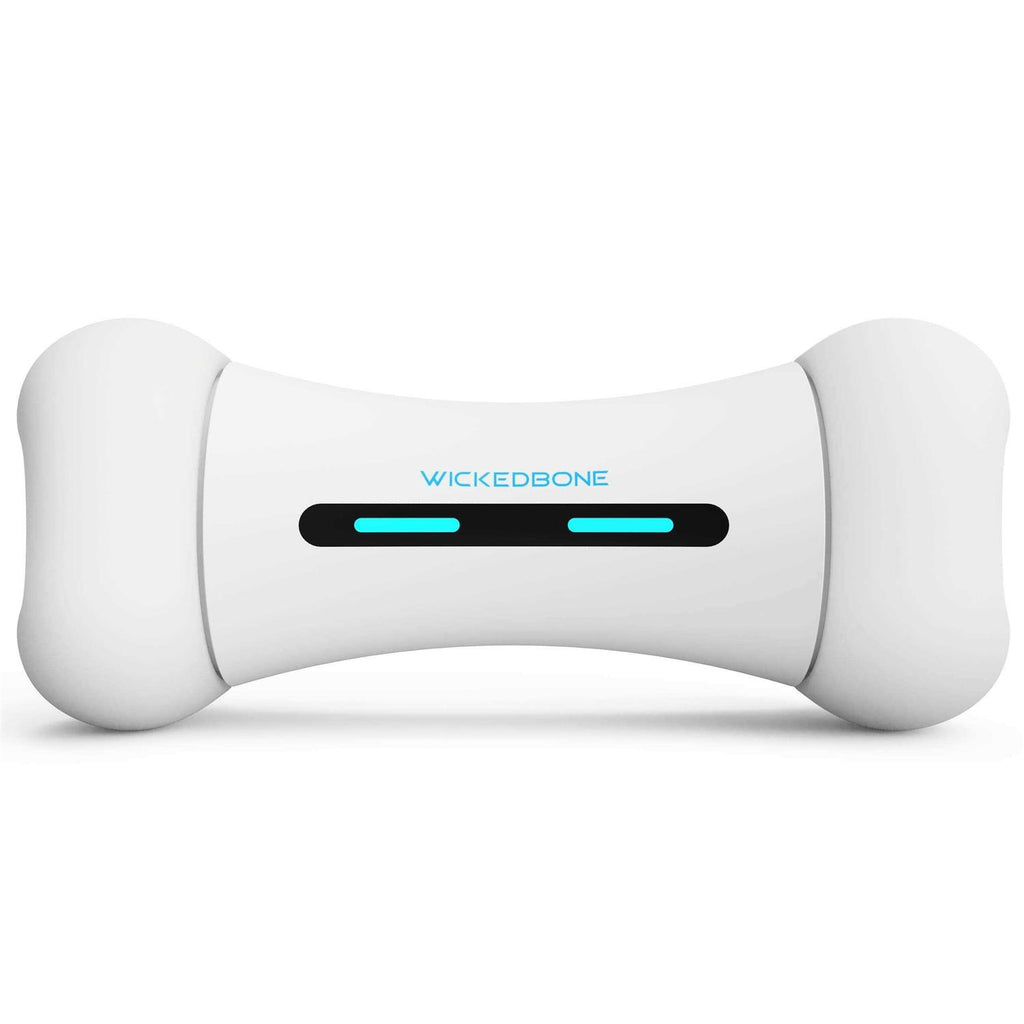Smart Bone Interactive Toy for Dog O8793