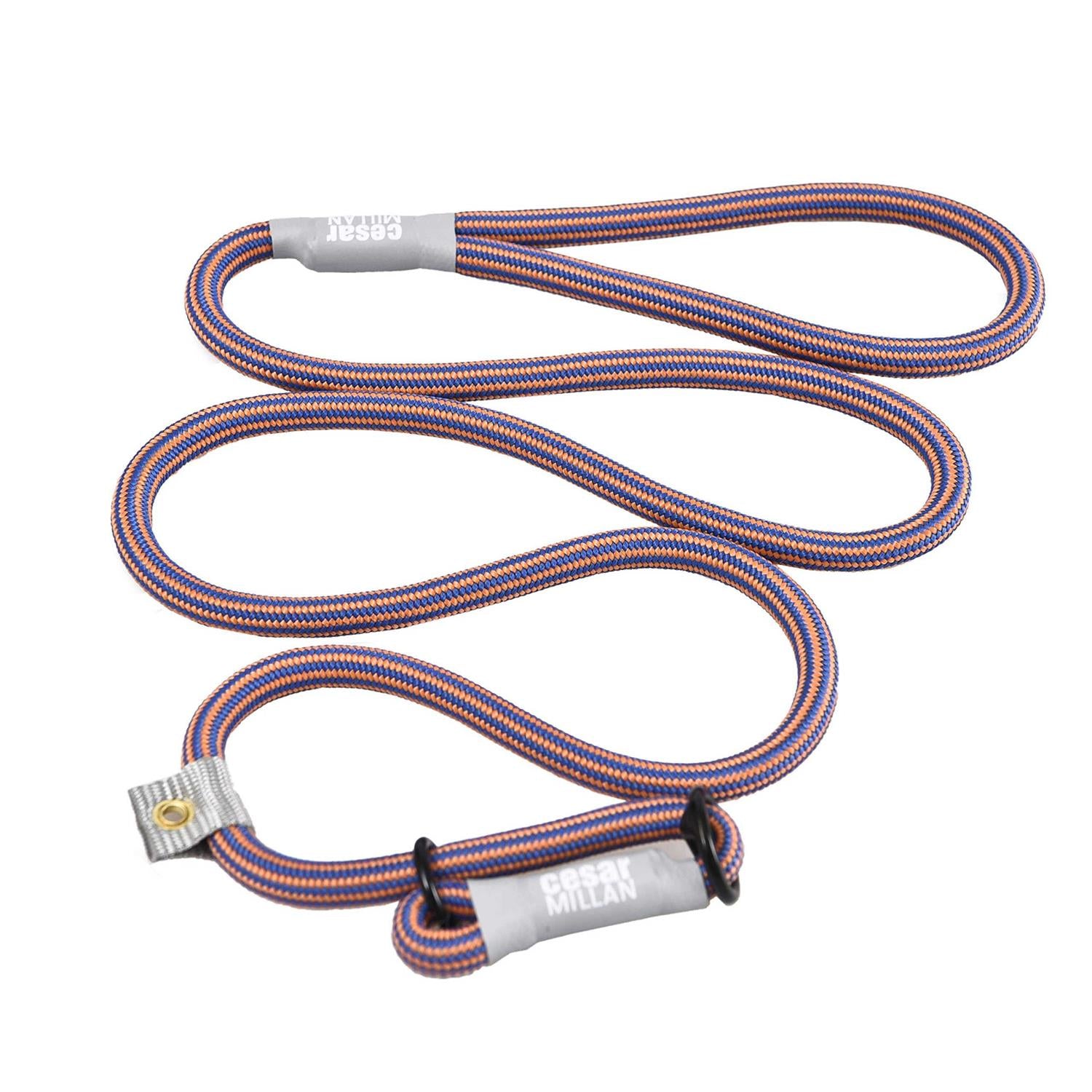 Slip Lead Leash 2-in-1 Dog Training Lead & Collar C502937