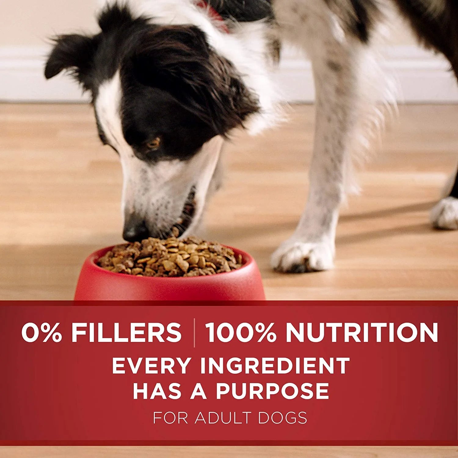 31.1 lb. Dry Dog Food Lamb & Rice Formula W130621