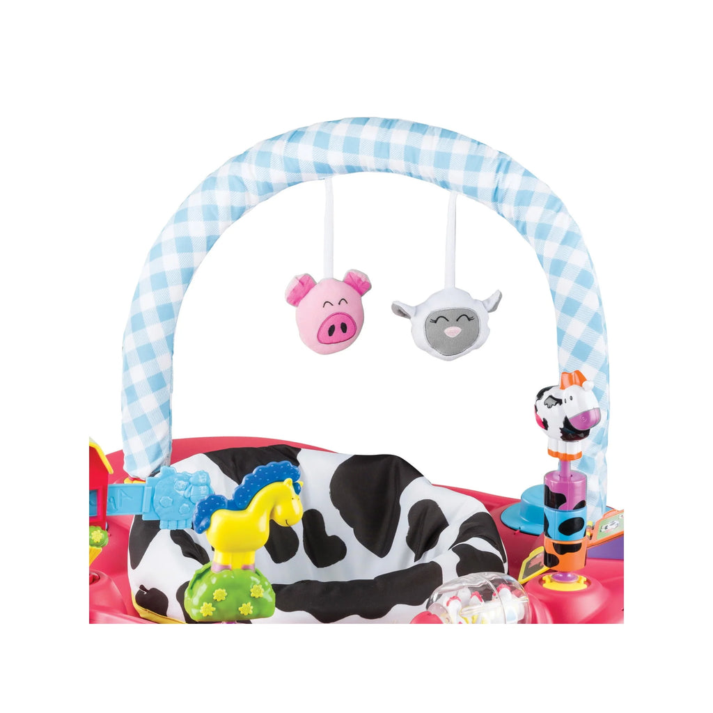 Unisex Bouncing Activity Saucer H5352
