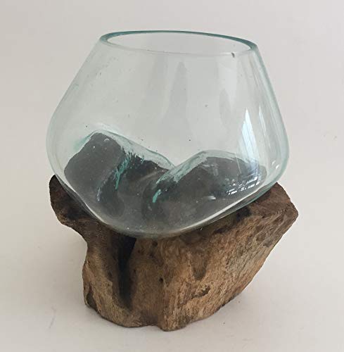 Hand Blown Molten Glass & Teak Wood Terrarium (6" - 7" High) Y634481