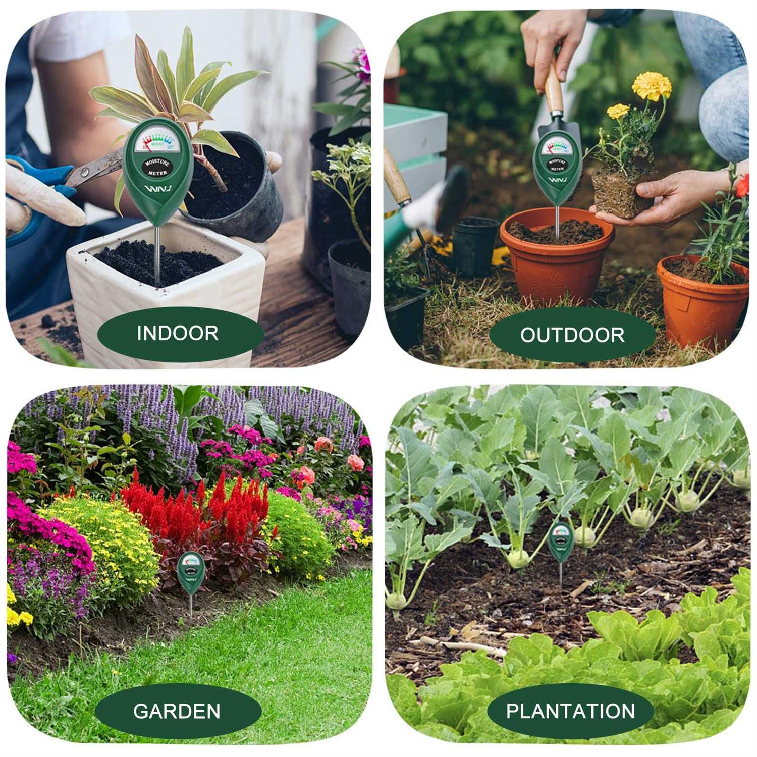 2 Pack Soil Moisture Meter Z564