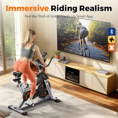 Magnetic Indoor Cycling Bike with Tablet Holder F990567