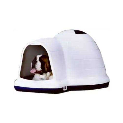 Pet Supplies O484802