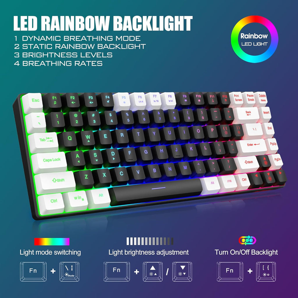 Wireless Keyboard and Mouse Combo, Rainbow Backlit Rechargeable, 75% Layout TKL Ultra Compact Gaming Keyboard & Lightweight 3200 DPI Optical Mouse (Black-White) M288