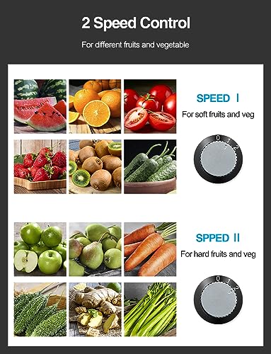 800W Centrifugal Juicer Extractor with Wide Mouth 3” Feed Chute, Stainless Steel, Black L413554