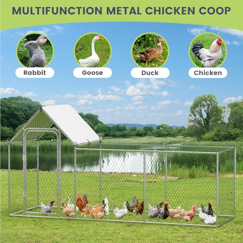 Large Metal Chicken Coop with Waterproof and Anti-UV Cover, 10' W x 3.3' D x 5' H D843