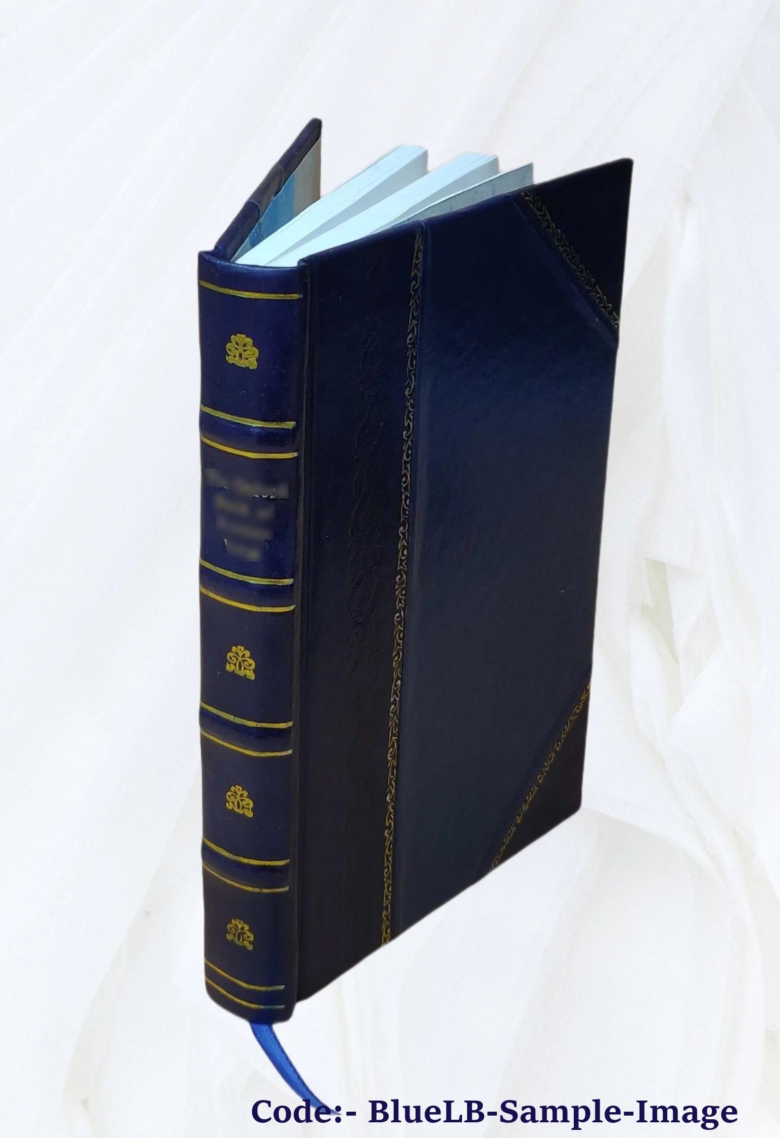 Leather Bound Book I8006