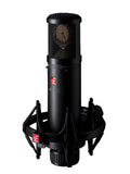 Large Diaphragm Condenser Mic with Shockmount and Filter T1427