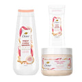 3 Count Sugar Cookie Sprinkle Value Pack U4582