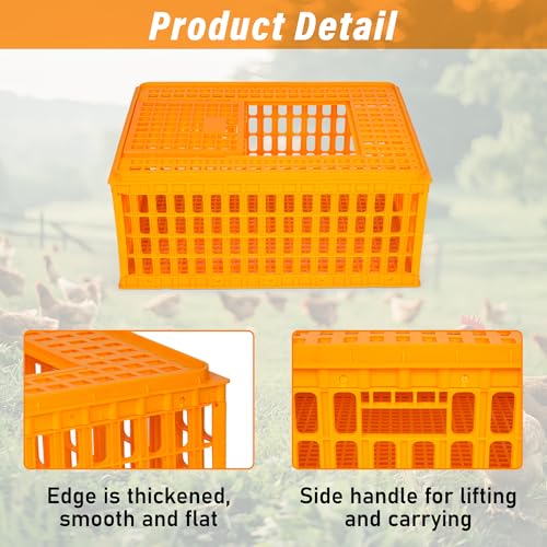 2PCS Plastic Poultry Carrier Crate, 29.5 x 21.7 x 13 Inch Z376427