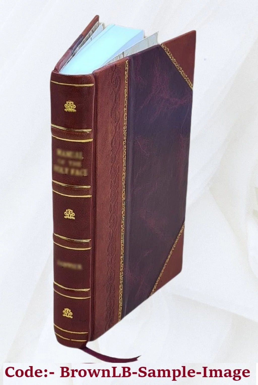 Leather Bound Book I8006