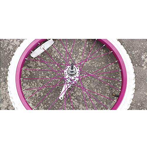 Bicycle Coaster Brake Rear Hub X347498