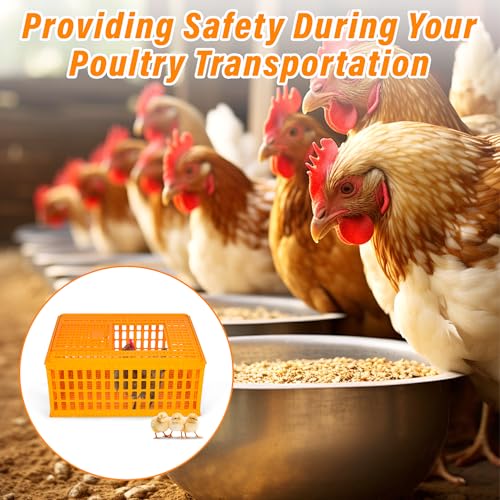 2PCS Plastic Poultry Carrier Crate, 29.5 x 21.7 x 13 Inch Z376427