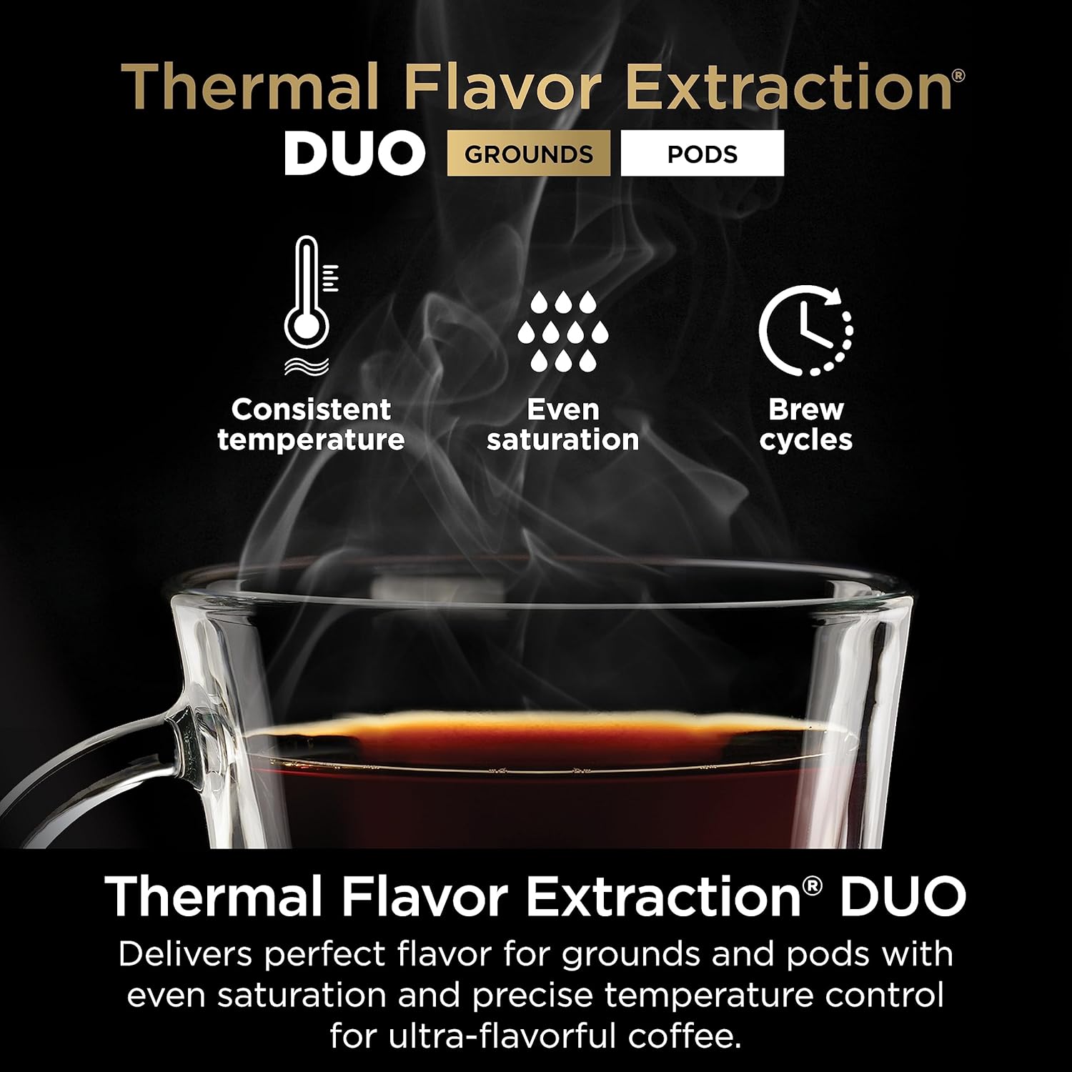 Black DualBrew Hot & Iced Coffee Maker P13535