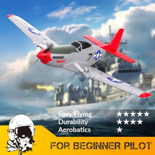 Blue 2.4Ghz 2CH Remote Control Airplane S902554