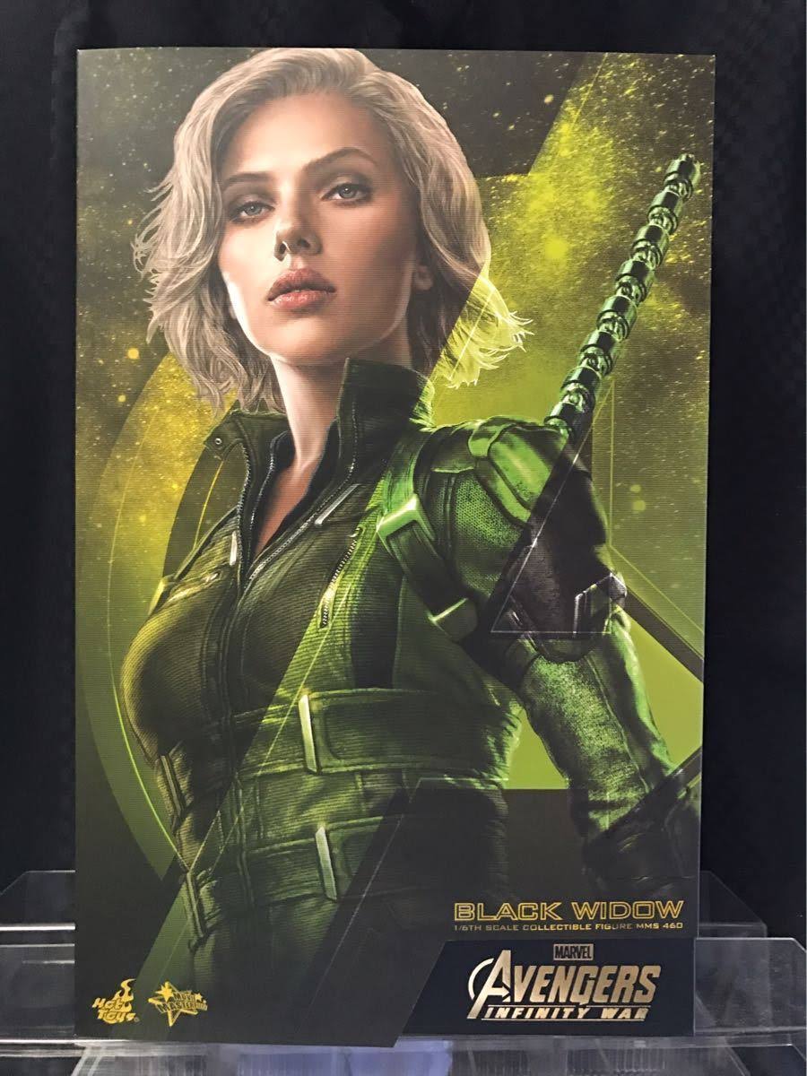 1/6 Scale Figure Black Widow G1413