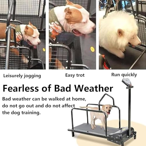 Indoor Dog Treadmill K3779