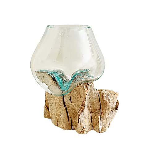 Hand Blown Molten Glass & Teak Wood Terrarium (6" - 7" High) Y634481