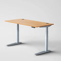 Bamboo Top Electric Adjustable Height Standing Desk H72634