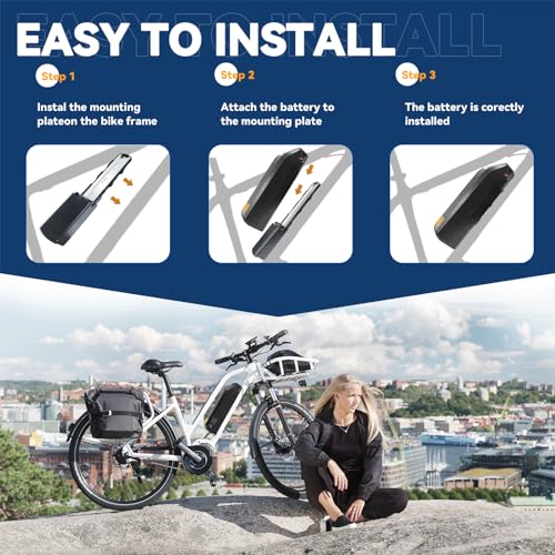 36V 48V 52V 15Ah 20Ah Electric Bike Lithium Battery with 3A Fast Charger and BMS E430