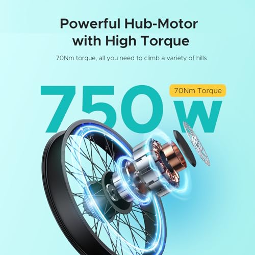 26" Fat Tire Electric Bike with 48V 16Ah Removable Lithium-Ion Battery S2261