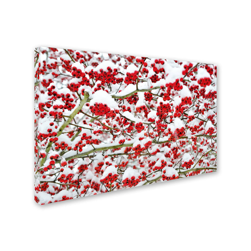 Canvas Art I847539
