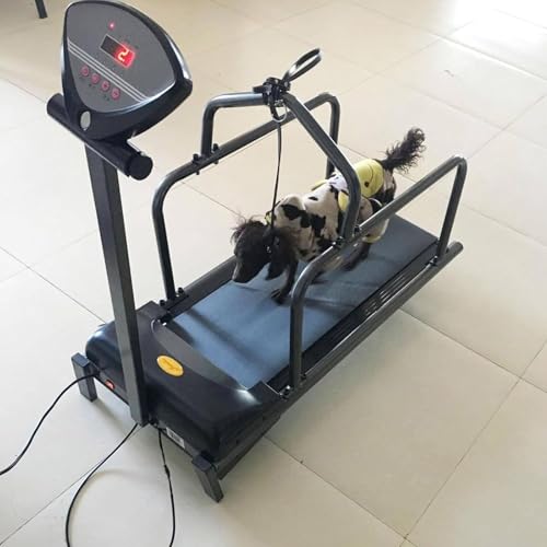 Indoor Dog Treadmill K3779