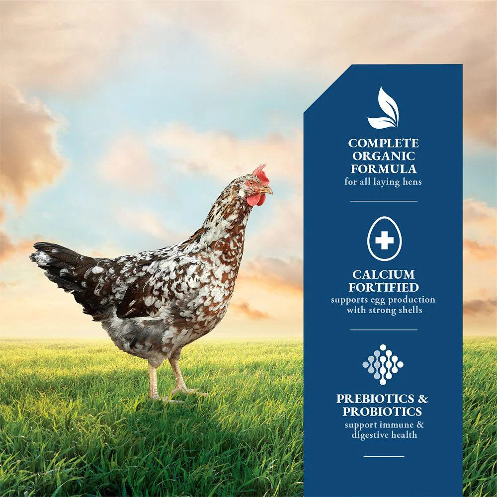 Organic 16% Layer Pellet Chicken Feed, 40 lb. F5938
