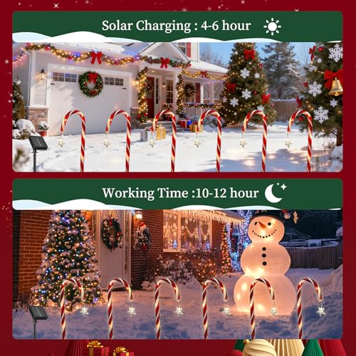 10 Pcs Solar Candy Cane Lights with 100 Led Lights F51485