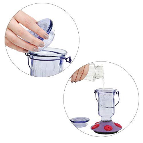 Lavender Field Glass Hummingbird Feeder Purple 16 oz O92293