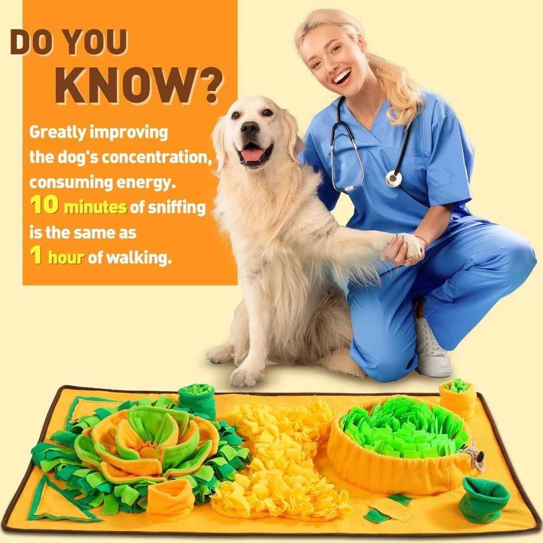 Non-slip Carrot Snuffle Mat for Dog Enrichment K89435
