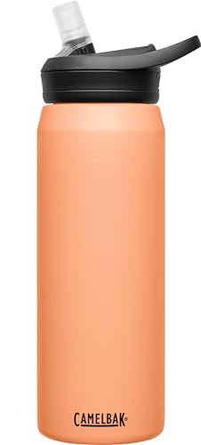 Insulated Stainless Steel Water Bottle S3133