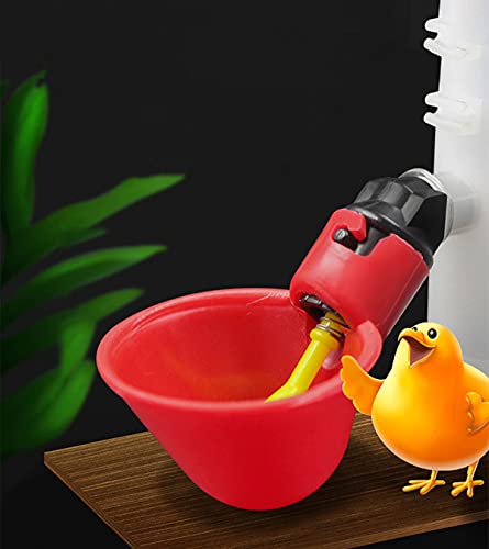 36 Pack Poultry Drinking Machine Chicken Drinking Cup J953836
