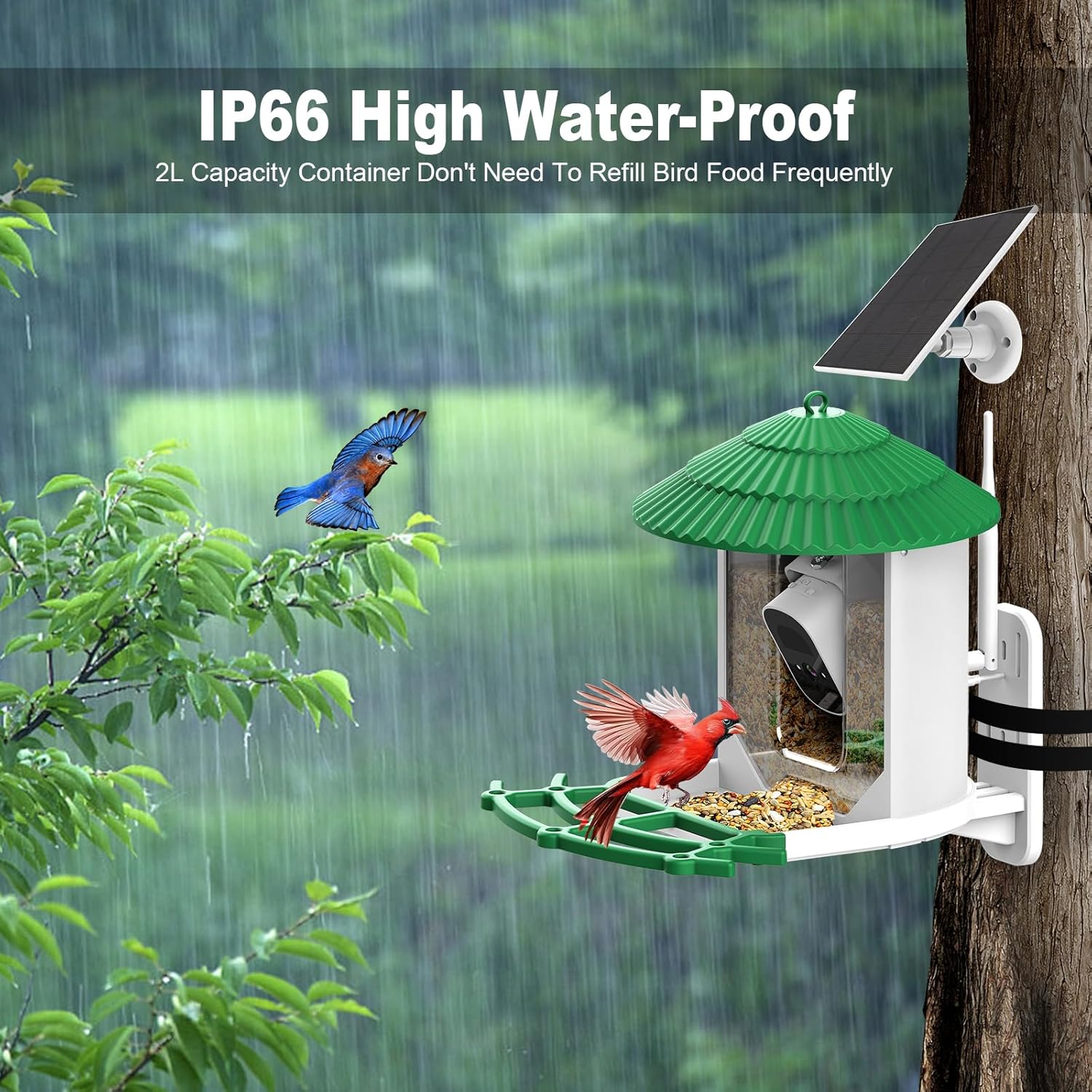 Bird Feeder with Camera J127