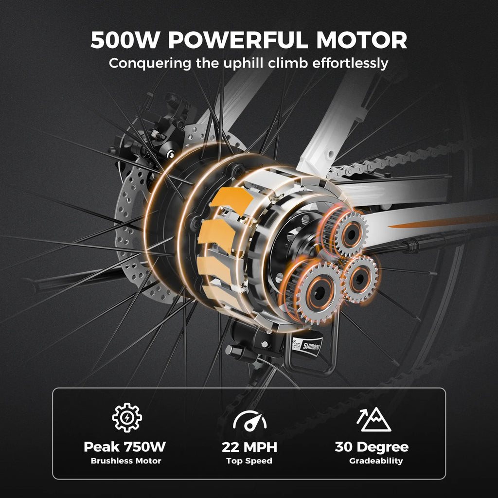 26 Electric Bike with 500W Brushless Motor, 36V 12.5Ah Removable Battery, 21 Speed Gear, Front Fork Suspension E163