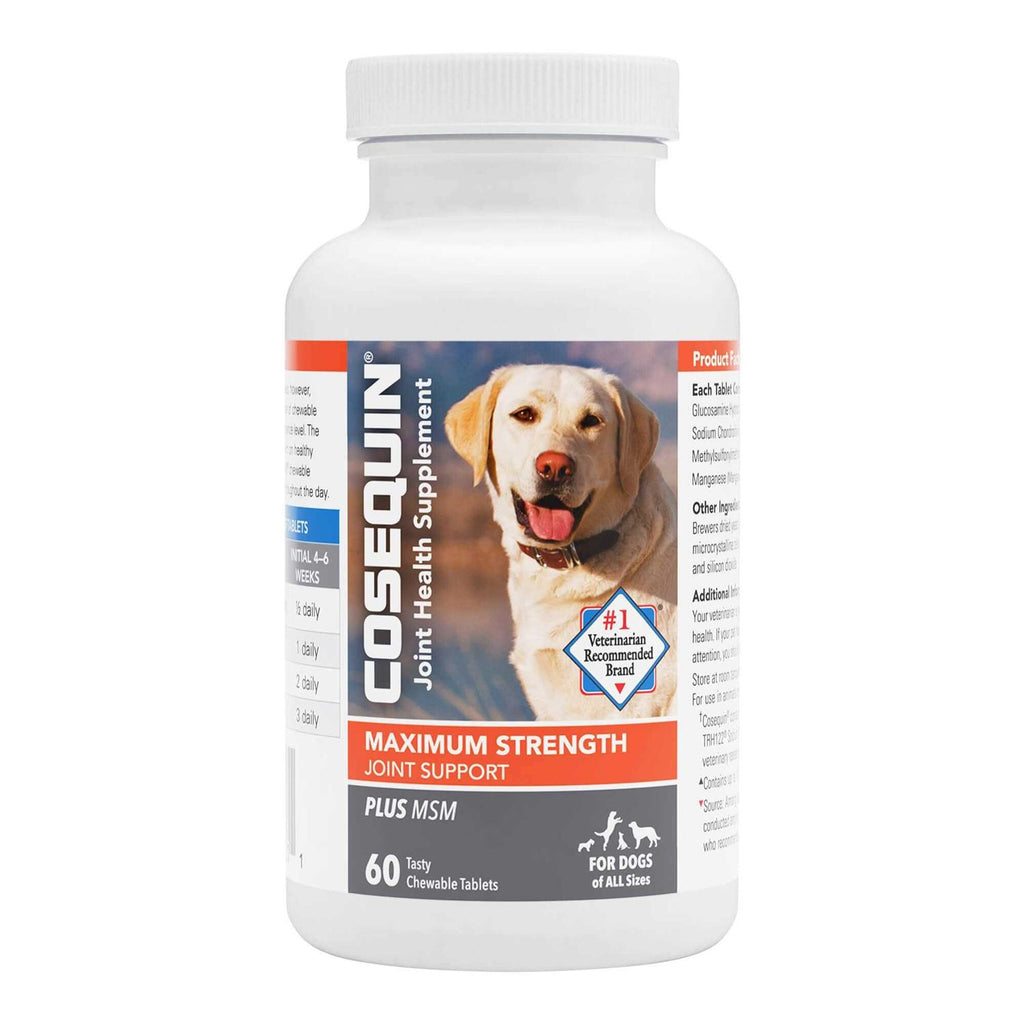 Maximum Strength Joint Support Plus MSM T925