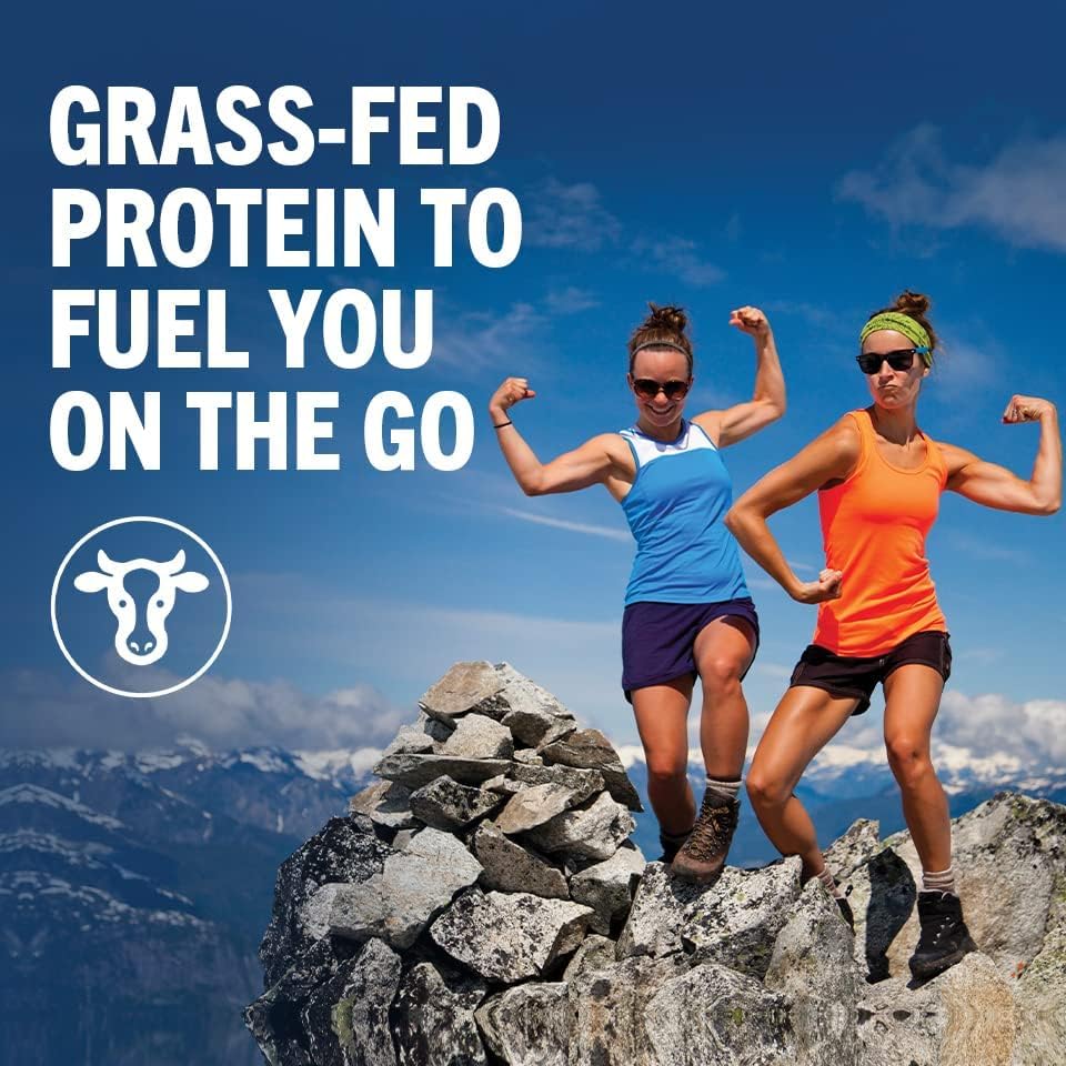 Organic Grass Fed Dairy Creamy Chocolate Whey Protein Shake, 14 Fl Oz (Pack of 12) J778080