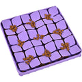 Purple Silicone Snuffle Mat for Dogs W458265