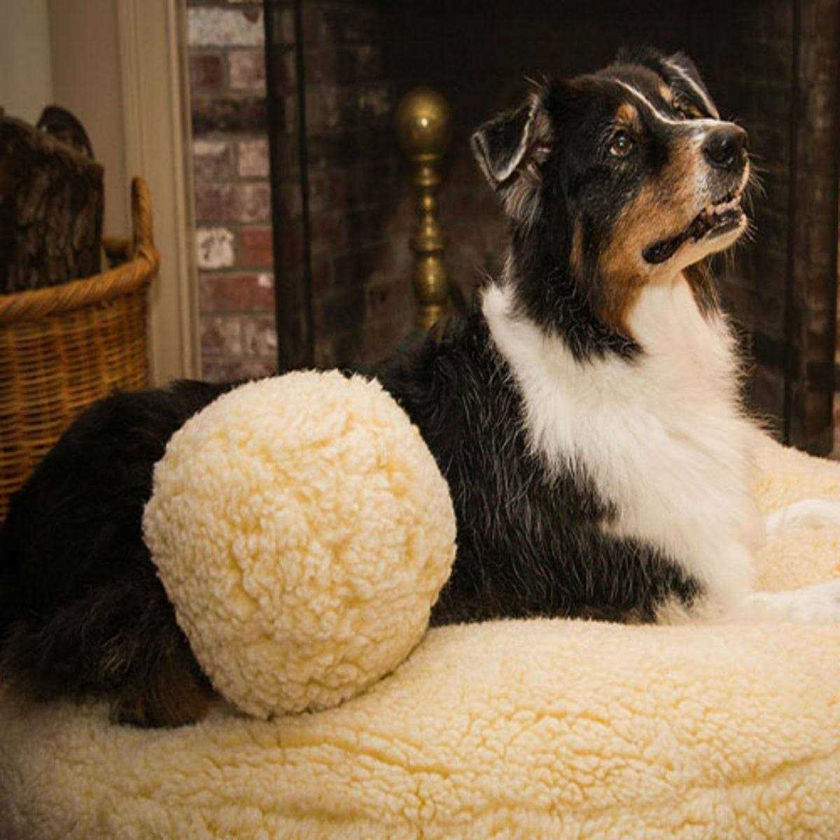 HuggleFleece Ball Dog Toy D302580