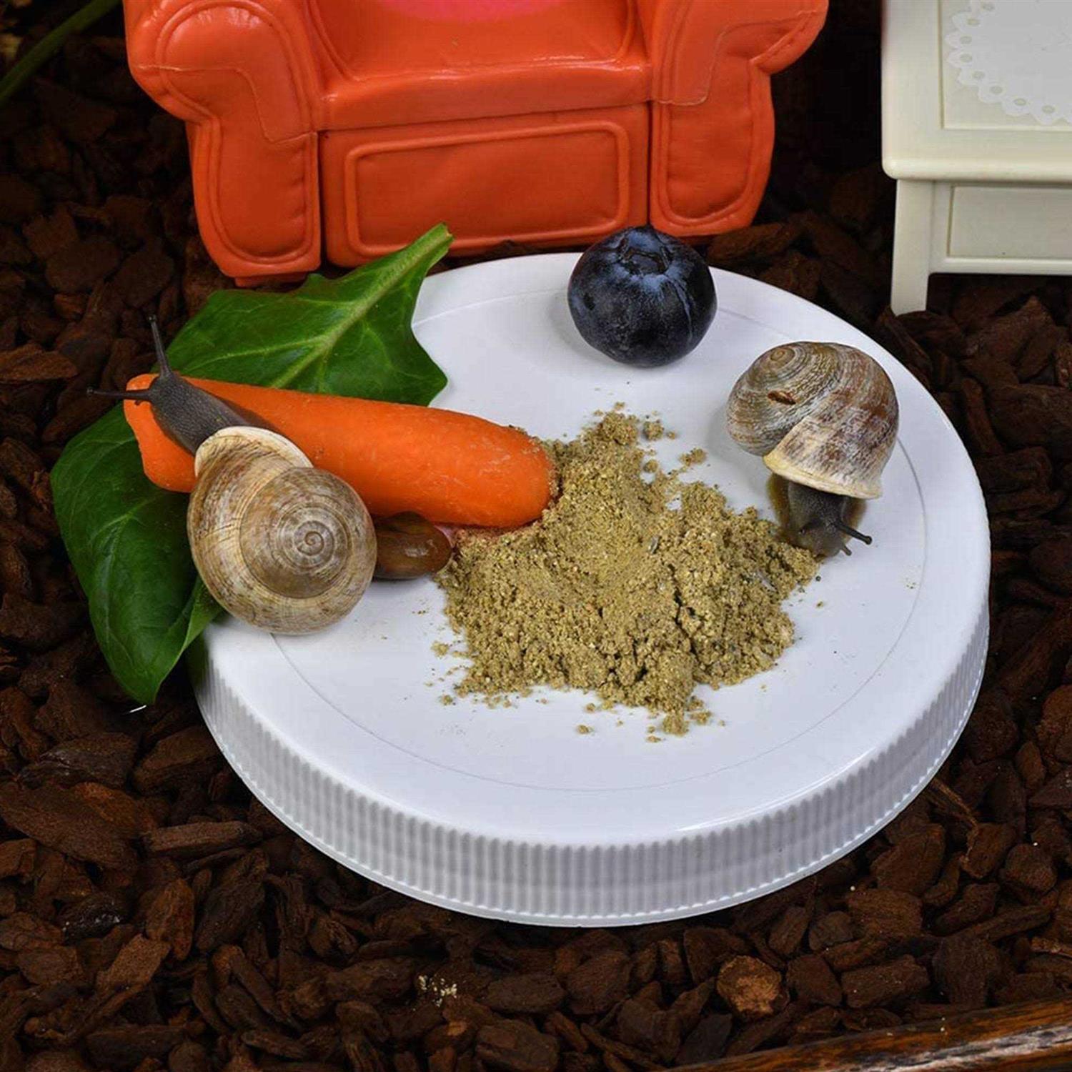 Vegetable Flavored Pet Land Snail Food E8465