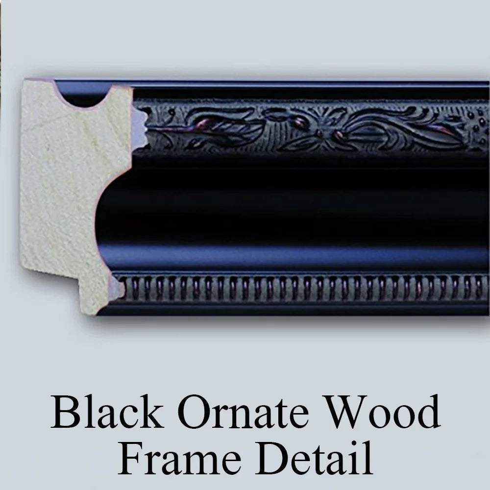 Black Ornate Framed Double Matted Museum Art Print D2534