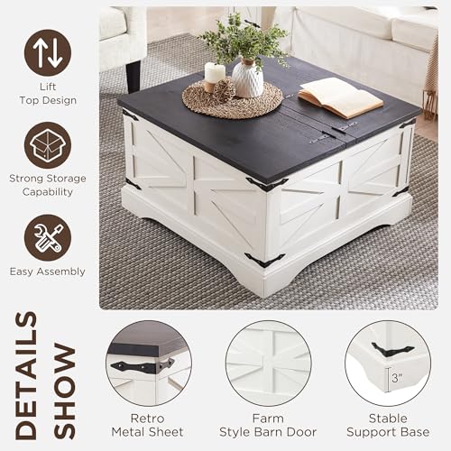Light Brown Wood Lift Top Coffee Table with Storage N6606
