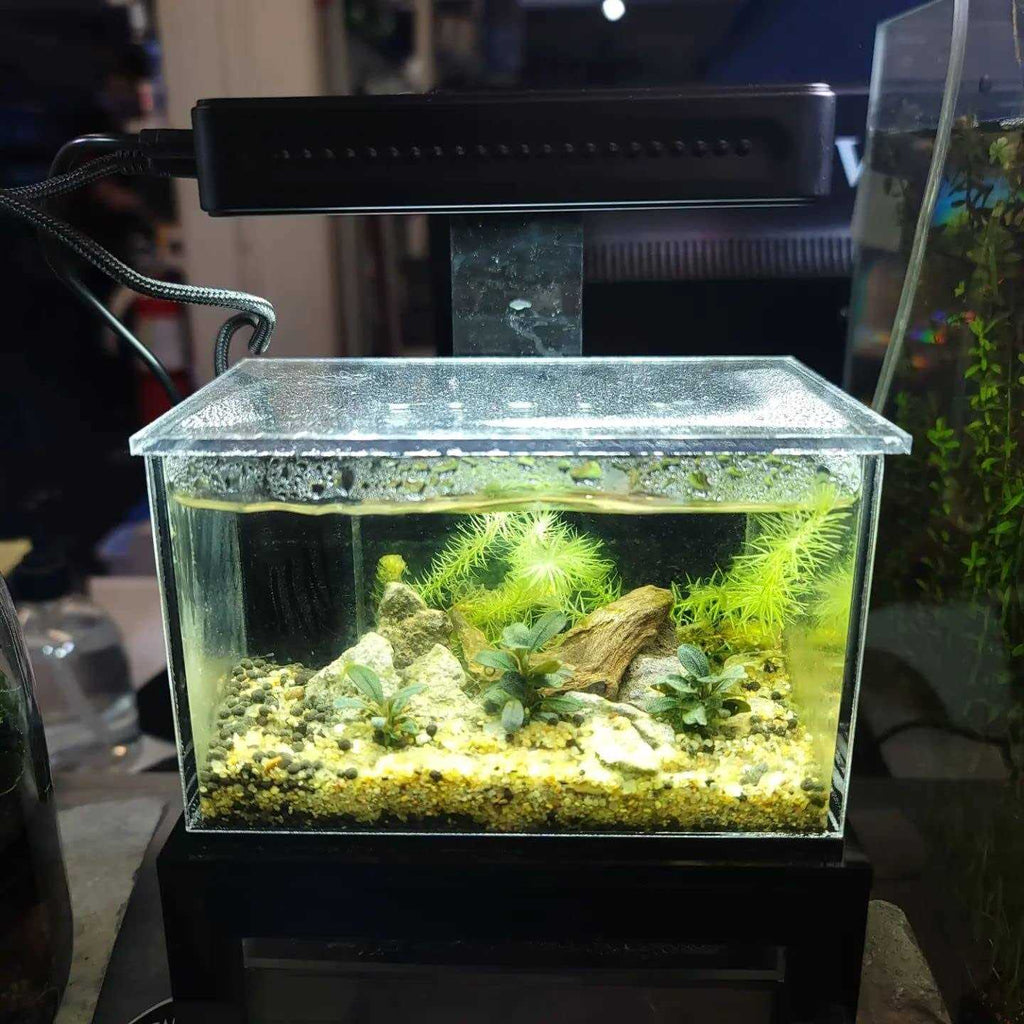 Desktop Aquarium G224