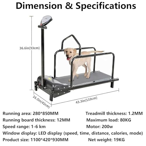 Indoor Dog Treadmill K3779