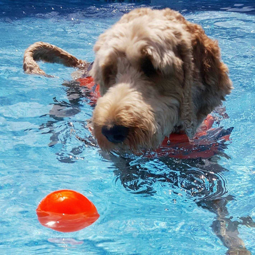 Indestructible Dog Toy Ball F197