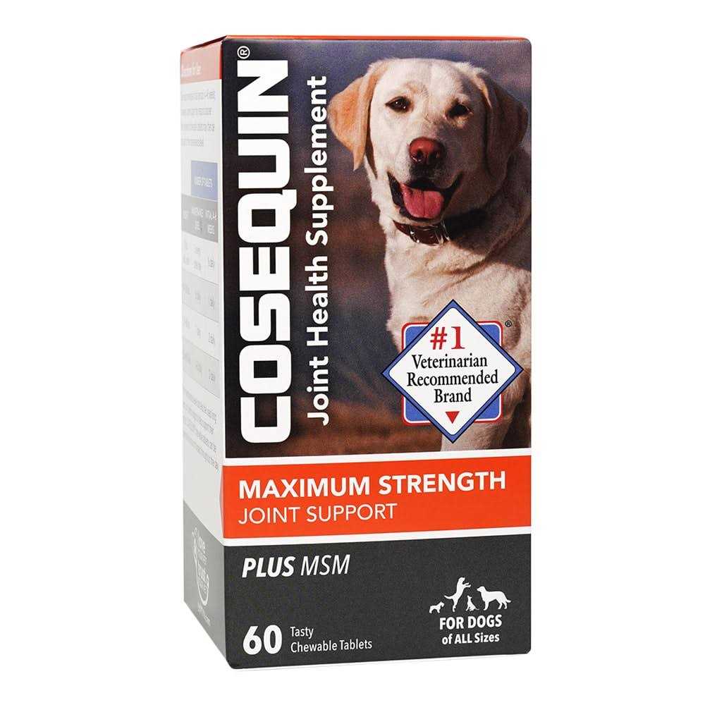 Maximum Strength Joint Support Plus MSM T925