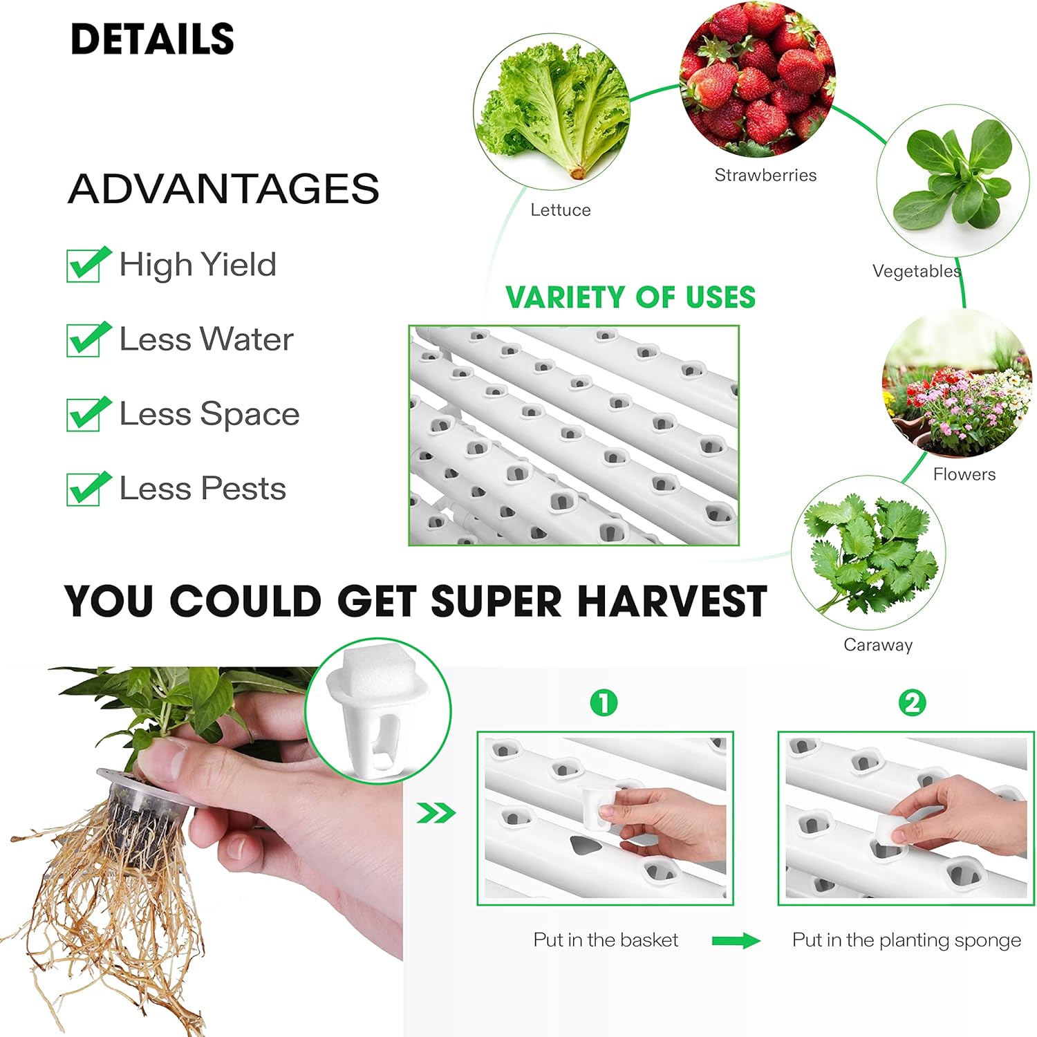 5-Gallon Deep Water Culture Hydroponics Grow System Y568831