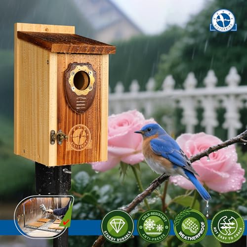 Wooden Hanging Bird House U471479