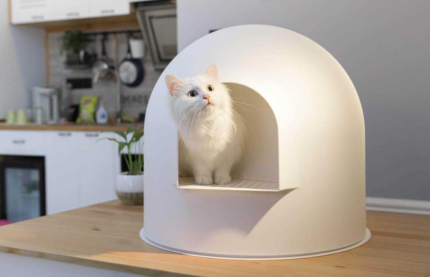 Extra Large Dome Cat Litter Box Q615